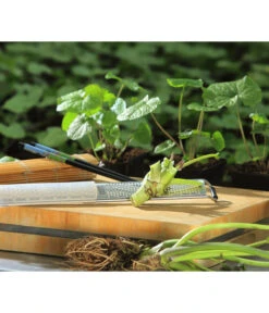 Wasabi -Elho Verkäufe 20120718 WE MO 002 Wasabi Gs Reibe Matte Totale