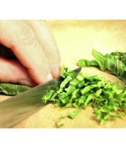 Wasabi -Elho Verkäufe 20120718 WE MO 003 Wasabi Gs Detail Blaetter schneiden