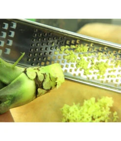 Wasabi -Elho Verkäufe 20120718 WE MO 004 Wasabi Gs Reibe