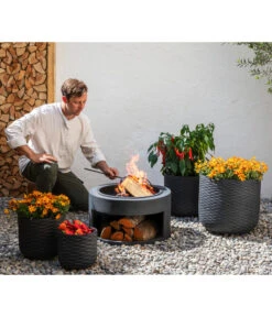 Goldmarie, Orange 11 Goldmarie, Orange -Elho Verkäufe 20210610 8810020 8832966 WE MO 001 BidensOrangeT12 GC09 2022 02