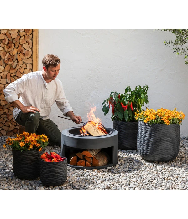 Goldmarie, Orange 6 Goldmarie, Orange – Bild 4