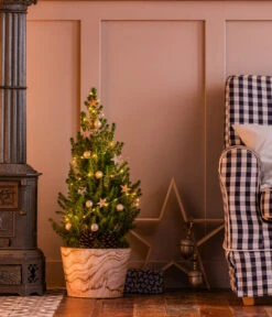 Elho Verkäufe -Elho Verkäufe 20220120 6202071 6202048 WE MO 001 WeihnachtsBaumLoxley28cmLED