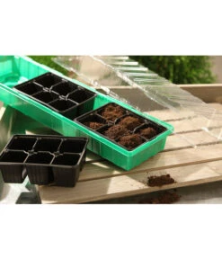 Dehner Zimmergewächshaus Frans, 54 X 15 X 12 Cm -Elho Verkäufe 207456 BildM 001 RombergZimmergewaechshausFransFensterbGewH54X15x12