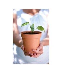 Elho Starter-Set Töpfe, 10 Stück -Elho Verkäufe 3009693 WE MO 001 StarterSetToepfeSchwarz10StueckElho