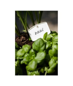 Elho Pflanz-Stift, 5 Stück -Elho Verkäufe 3266806 MO FS 001 PflanzstiftMweissElhoEtikett