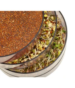 Dehner Sprossenhaus, 4 Schalen -Elho Verkäufe 3677101 WE MO 002 DehnerSprossenhausKeimsprossen