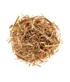 Ausgewählte Produkte -Elho Verkäufe 3940285 BildD 001 PilzmaennchenBioHomePilzzuchtsetAusternpilzPilzbrutAusternpilzSet