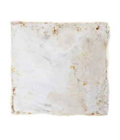 Pilzmännchen Bio Pilzzuchtset Austernpilz -Elho Verkäufe 3940285 BildD 002 PilzmaennchenBioHomePilzzuchtsetAusternpilzPilzbrutAusternpilzSet