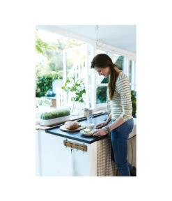 Elho Anzuchthaube L -Elho Verkäufe 4026704 WE MO 001 AnzuchthausLTransparentElho