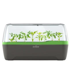 Romberg BoQube Gewächshaus -Elho Verkäufe 4299970 WE FS 005 RombergGewaechshausZimmergewaechshausAnzucht