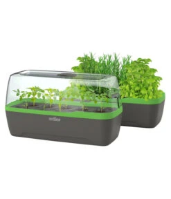 Romberg BoQube Gewächshaus -Elho Verkäufe 4299970 WE FS 006 BoQubeGewaechshausZimmergewaechshaus