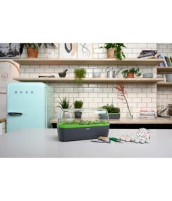 Romberg BoQube Gewächshaus -Elho Verkäufe 4299970 WE MO 002 BoQubeGewaechshausZimmergewaechshaus