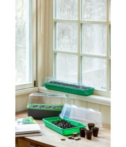 Romberg Zimmergewächshaus -Elho Verkäufe 4299970 WE MO 004 BoQubeZimmergewaechshaus