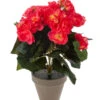 Kunstpflanze Begonie -Elho Verkäufe 4461117 WE FS 001 Begonie30cmPink