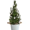 Geschmückter Weihnachtsbaum Linus, Mit Lichterkette, Ca. H50 Cm -Elho Verkäufe 6202089 WE FS 001 WeihnachtsbaeumchenLinus17cmLED