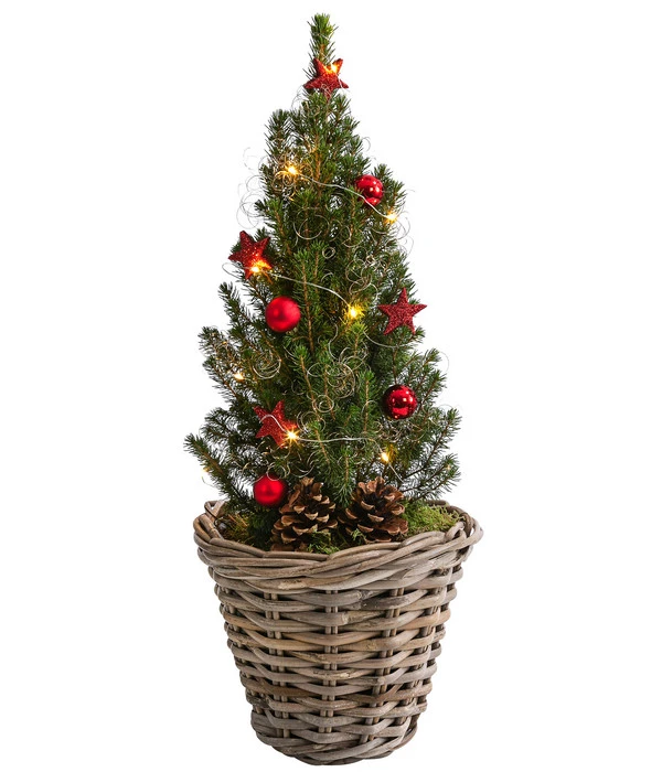 Geschmückter Weihnachtsbaum Kubu, Mit Lichterkette, Ca. H50 Cm 3 Geschmückter Weihnachtsbaum Kubu, Mit Lichterkette, Ca. H50 Cm