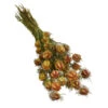 Trockenblumenbund Nigella Mit Fruchtstand -Elho Verkäufe 6284236 PR FS 001 NigellaFruchtstandBundDehnerExpressHerzig