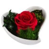 Dehner Herzschale Mit Longlife-Rose Lena, Ca. B12/H8 Cm -Elho Verkäufe 6380901 WE FS 004 LLHerzLenaROT