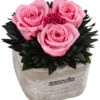 Dehner Arrangement Mit Longlife-Rose Ina Light, Rosa, Ca. B8/H10/T8 Cm -Elho Verkäufe 6537682 WE FS 002 LL InaLightRosa
