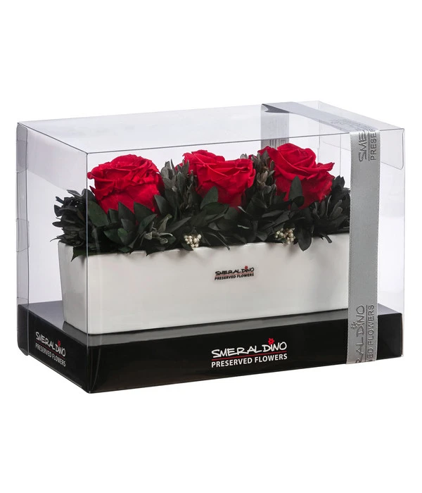 Dehner Keramik-Jardiniere Mit Longlife-Rose Elen, Rot, Ca. B23/H11/T7 Cm 4 Dehner Keramik-Jardiniere Mit Longlife-Rose Elen, Rot, Ca. B23/H11/T7 Cm – Bild 2
