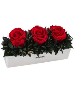 Dehner Keramik-Jardiniere Mit Longlife-Rose Elen, Rot, Ca. B23/H11/T7 Cm