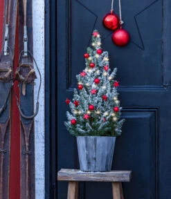 Elho Verkäufe -Elho Verkäufe 6552640 WE MO 001 WeihnachtsbaeumchenWoodRot19cmLED