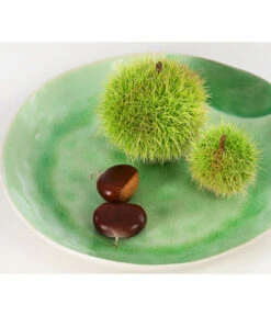 Esskastanie 9 Esskastanie -Elho Verkäufe 7091580 PR DE 002 CastaneaSativaEsskastanieDehnerExpressHerzig