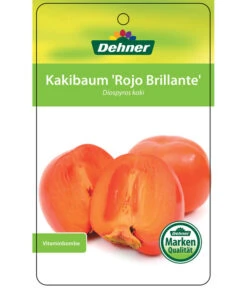Dehner Kaki 'Rojo Brillante' - Kaki-Pflaume 'Rojo Brillante' -Elho Verkäufe 7167414 KakiRojoBrillante Etikett 01