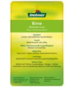 Winterbirne 'Alexander Lucas' 13 Winterbirne 'Alexander Lucas' -Elho Verkäufe 7602709 BirneAlexanderLucas Etikett 2
