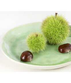 Esskastanie 'Bouche De Betizac' 9 Esskastanie 'Bouche De Betizac' -Elho Verkäufe 7621998 PR DE 002 CastaneaSativaBetizacEsskastanieDehnerExpressHerzig