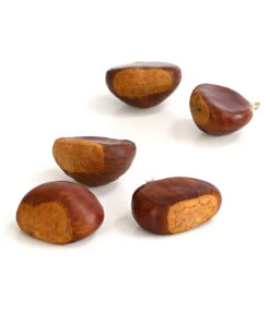 Esskastanie 'Bouche De Betizac' 11 Esskastanie 'Bouche De Betizac' -Elho Verkäufe 7621998 WE DE 003 EsskastanieMaroneCastaneaSativaDehnerExpressHerzig