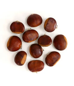 Esskastanie 'Bouche De Betizac' 10 Esskastanie 'Bouche De Betizac' -Elho Verkäufe 7621998 WE FS 003 EsskastanieMaroneCastaneaSativaDehnerExpressHerzig