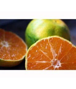 Rangpur-Limette 'Lima Rossa' -Elho Verkäufe 7622616 WE MO 001 RangpurLimettePixabay