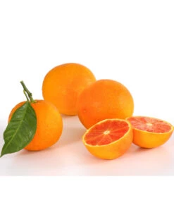 Blutorange -Elho Verkäufe 7622756 PR DE 001 Blutorange Herzig