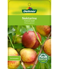 Nektarine 'Crimson Gold' -Elho Verkäufe 7626005 NektarineCrimsonGold Etikett 1