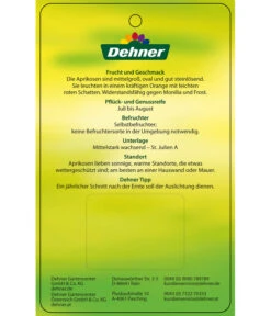 Aprikose 'Compacta' -Elho Verkäufe 7626021 AprikoseCompacta Etikett 2