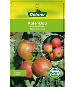 Apfel-Duo 'Jonagold'/'Elstar' -Elho Verkäufe 7639248 Apfel DuoJonagoldElstar Etikett 1