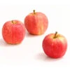 Herbstapfel 'Gala' -Elho Verkäufe 7645880 WE DE 005 ApfelGalaDehnerExpressHerzig