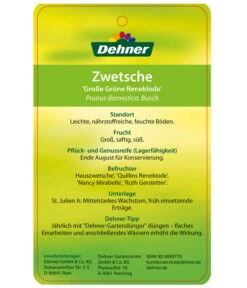 Dehner Reneklode 'Große Grüne Reneklode' -Elho Verkäufe 7657802 ReneklodeGrosseGrueneReneklode Etikett 2