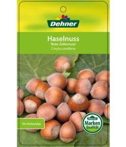 Dehner Haselnuss 'Rote Zellernuss' -Elho Verkäufe 7663073 HaselnussRoteZellernuss Etikett 1