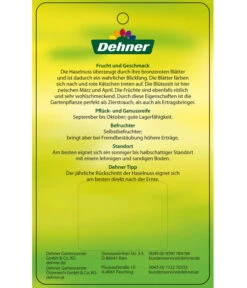 Dehner Haselnuss 'Rote Zellernuss' -Elho Verkäufe 7663073 HaselnussRoteZellernuss Etikett 2