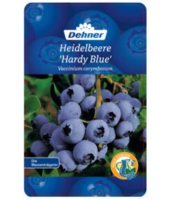 Heidelbeere 'Hardyblue' -Elho Verkäufe 7665490 HeidelbeereHardyblue Etikett 1