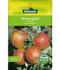 Winterapfel 'Jonagold' -Elho Verkäufe 7691645 WinterapfelJonagold Etikett 1