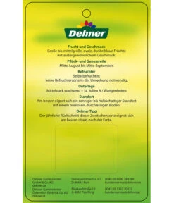 Zwetschge 'Jojo' 9 Zwetschge 'Jojo' -Elho Verkäufe 7692635 ZwetscheJojo Etikett 2