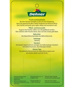 Nashi-Birne 'Nijiseiki' -Elho Verkäufe 7719826 Nashi BirneNijiseiki Etikett 2