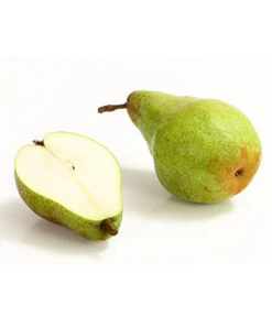 Winterbirne 'Novembra' -Elho Verkäufe 7723695 WE DE 004 BirneNovemberDehnerExpressHerzig