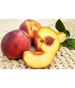 Gelbfleischiger Pfirsich -Elho Verkäufe 7728843 PR FS 001 GelbfleischigerPfirsichPixabay