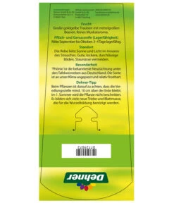 Tafeltraube 'Phönix' -Elho Verkäufe 7729072 TafeltraubePhoenix Etikett2