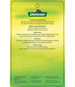 Kirschen-Duo 'Regina/Napoleon' -Elho Verkäufe 7738792 Suesskirschen DuoReginaNapoleon Etikett 2