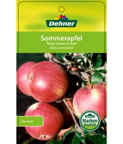 Sommerapfel 'Roter James Grieve' -Elho Verkäufe 7745730 SommerapfelRoterJamesGrieve Etikett 1